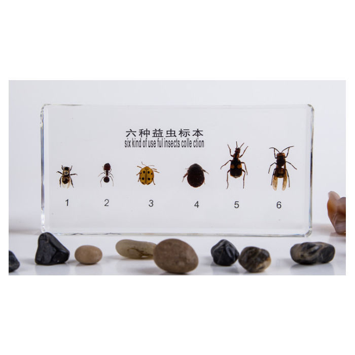 ���N���x��(bi��o)��